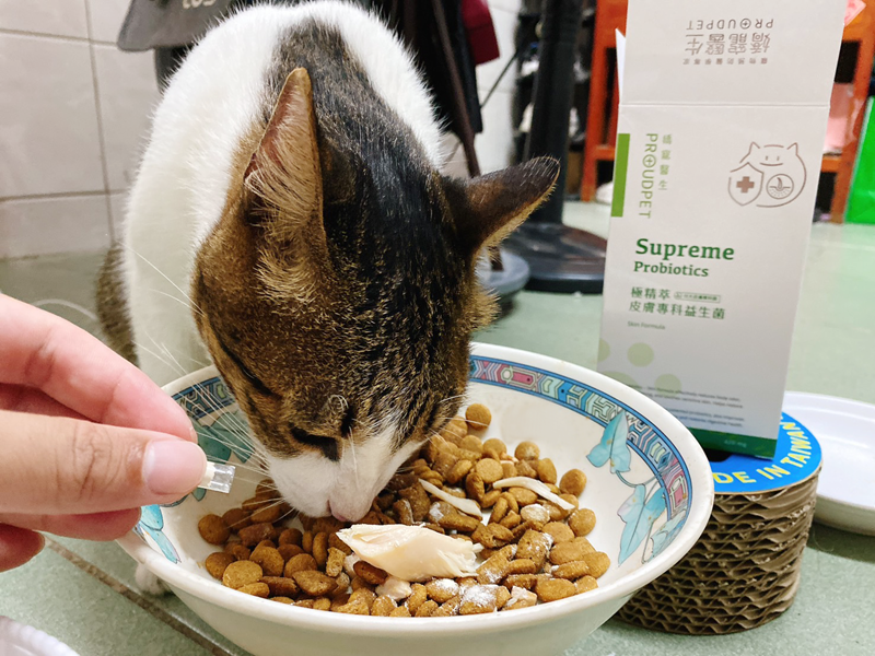 試用